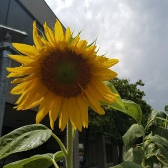 Meet your Posher, Troy - Picture 1 of 1